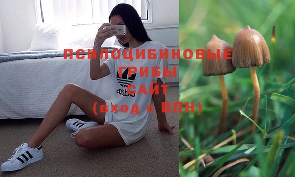 мяу мяу кристалл Козловка